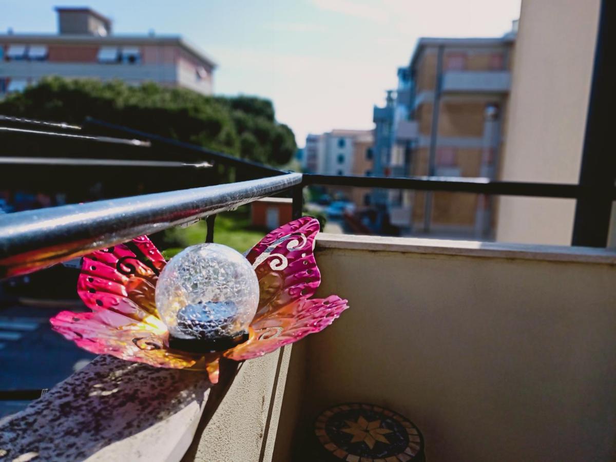 Casa Ilanfra - Appartamenti Gabbiano, Farfalla E Stella Marina ピオンビーノ エクステリア 写真